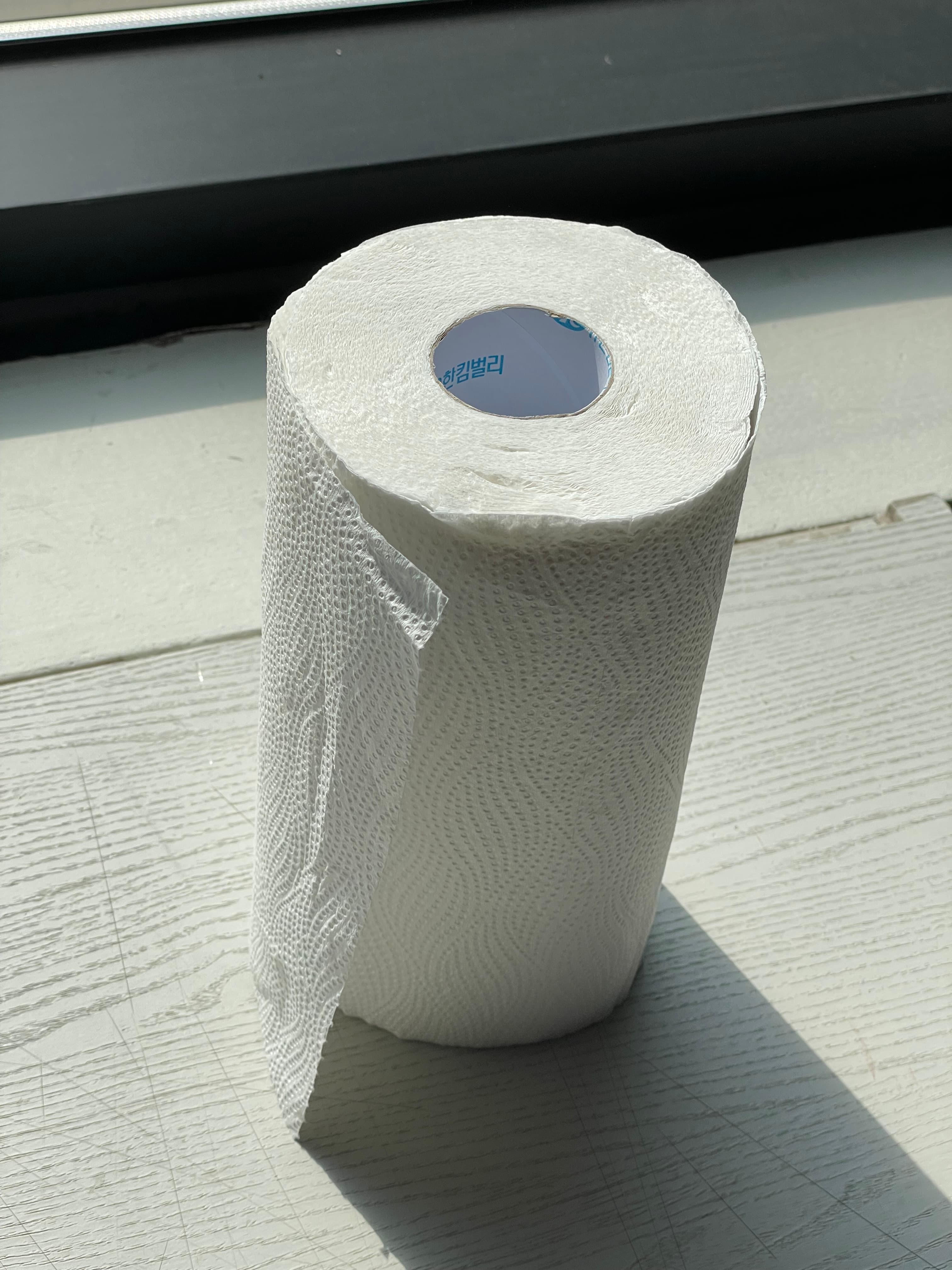 Paper Towel (2ea) μ¬μ§ 1